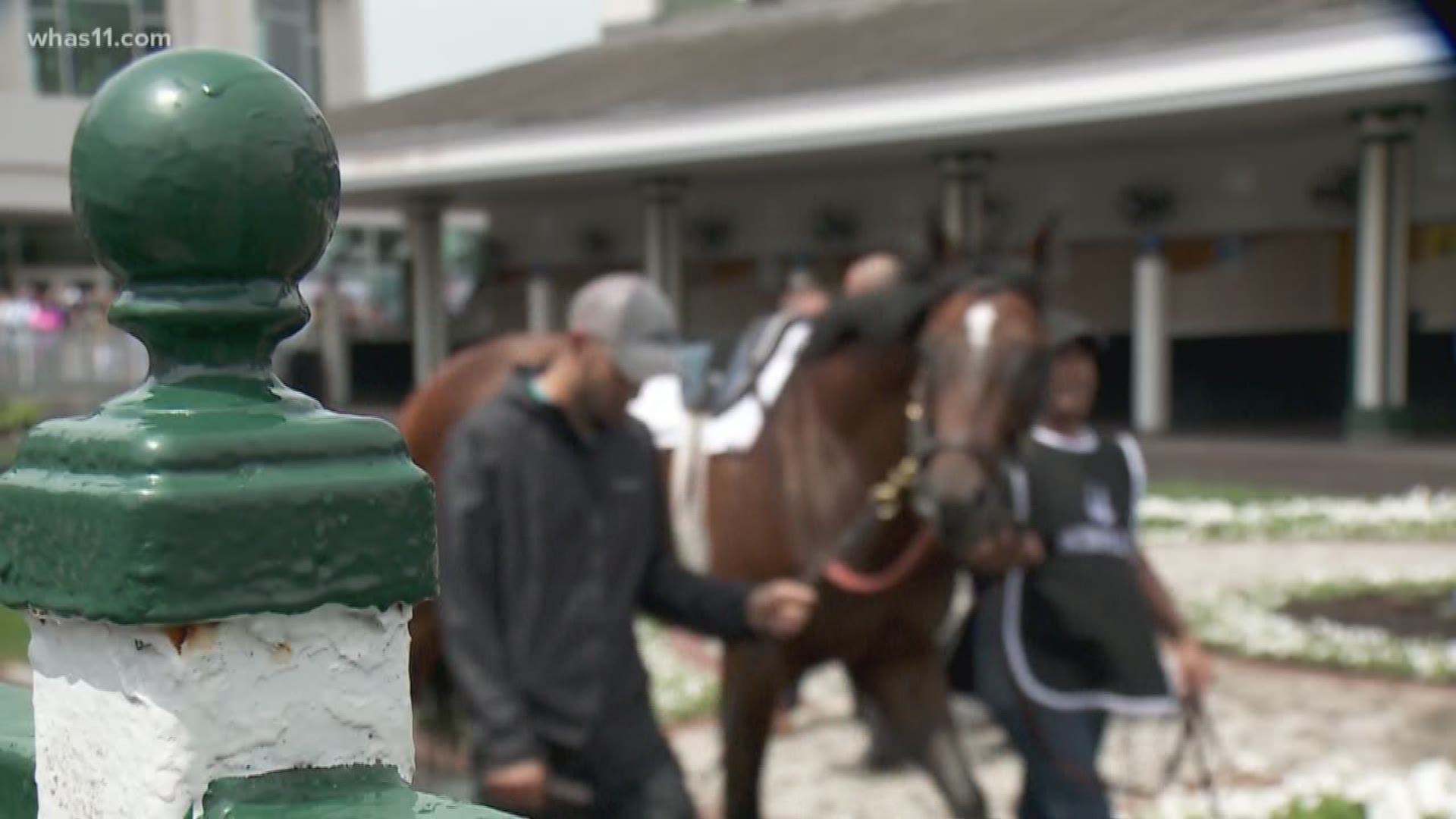 You can't come to Churchill Downs and not place a bet, even if it's just a small one.