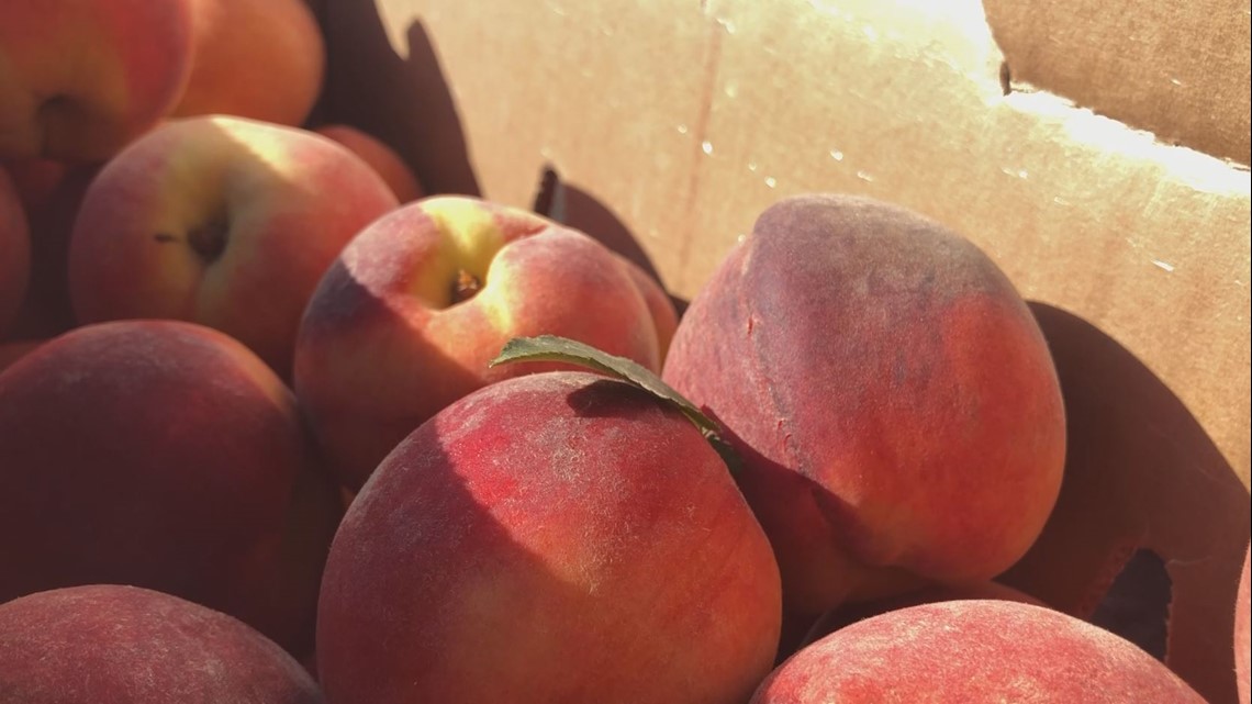 Locals grab fresh peaches as truck stops in Louisville