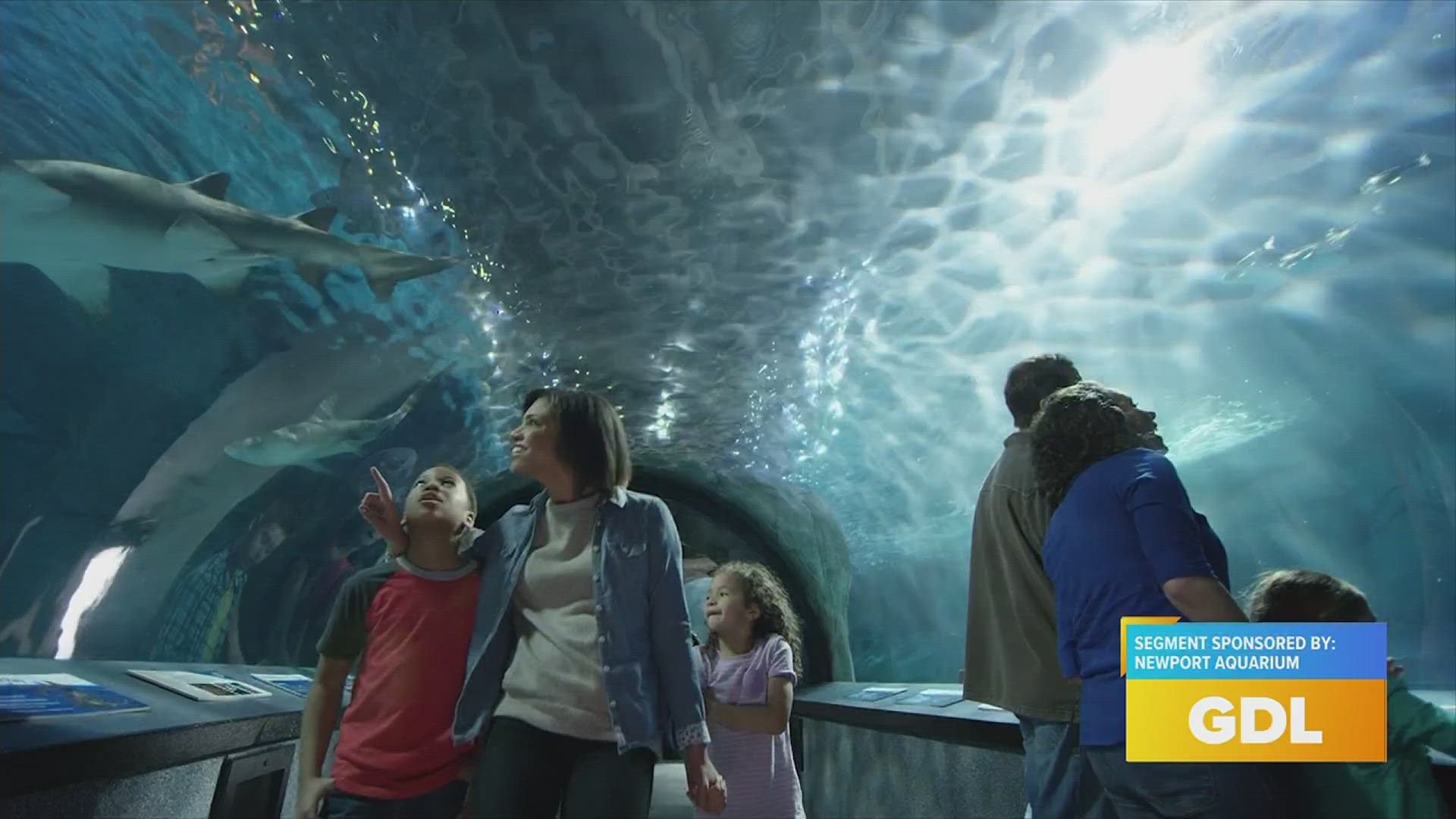 Newport Aquarium showcased their