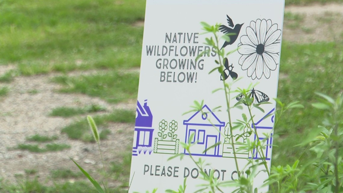 UofL researchers share results from 18month long project