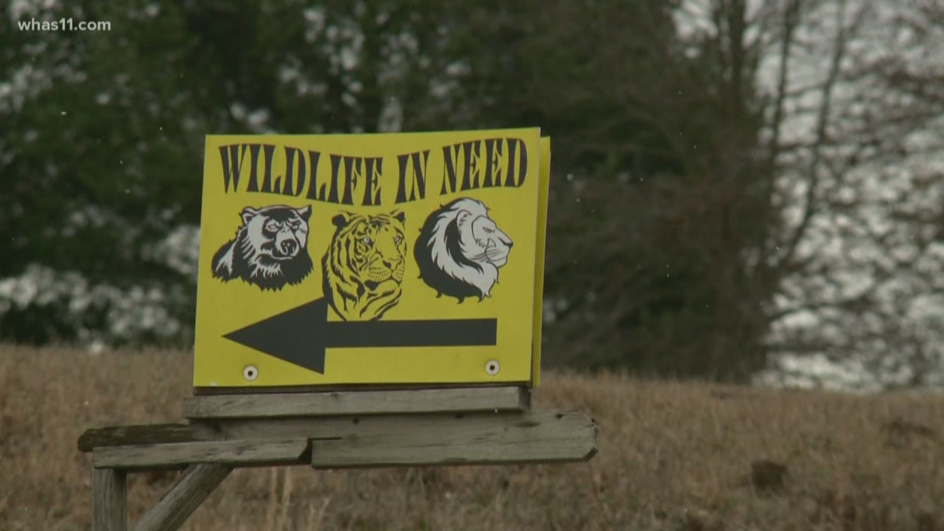 Eighteen people walked onto the Wildlife in Need property for the first inspection in three years.