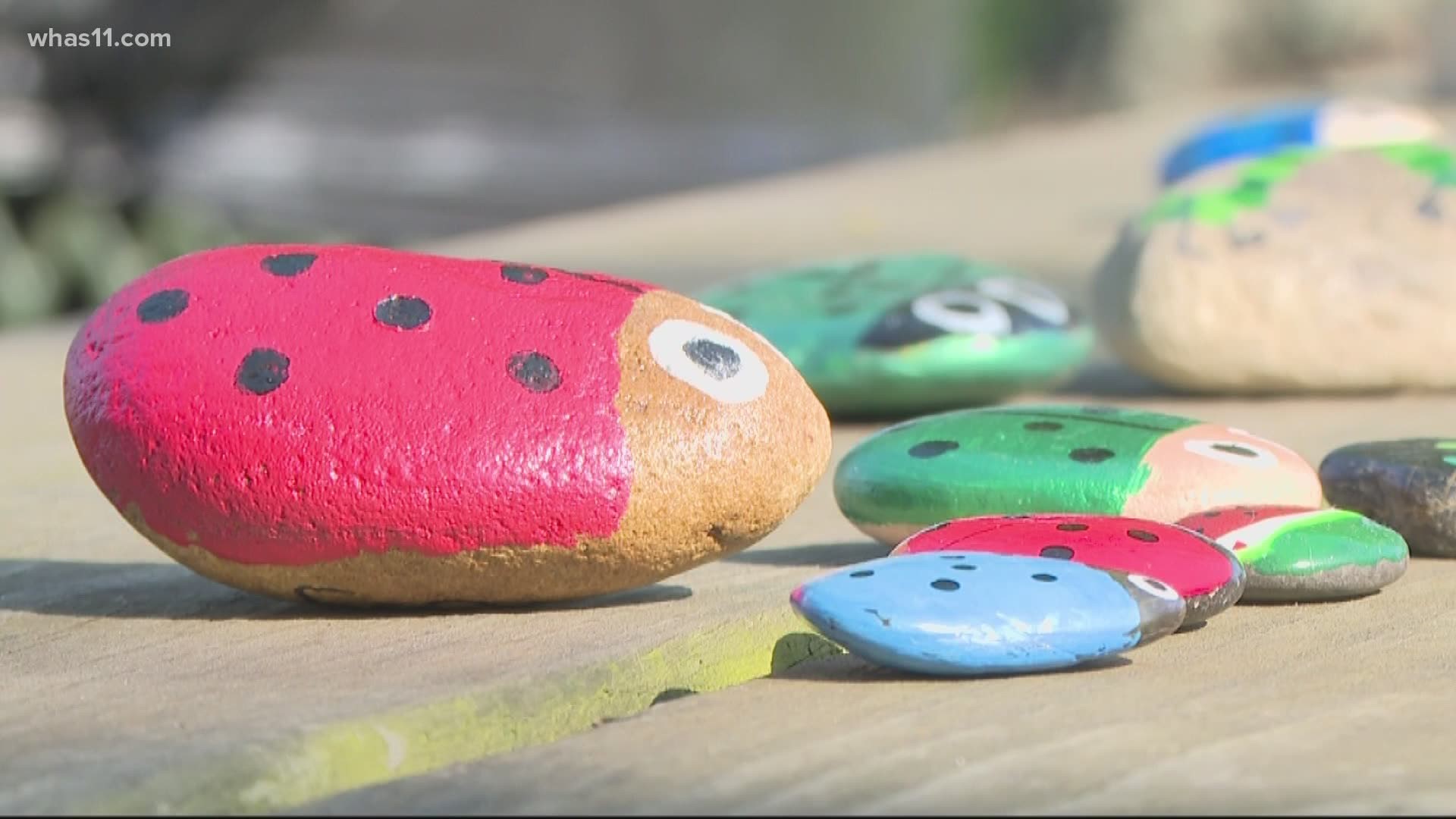 At the start of the COVID-19 pandemic, someone in the Port Fulton community began surprising people with rocks painted as ladybugs at their door steps.