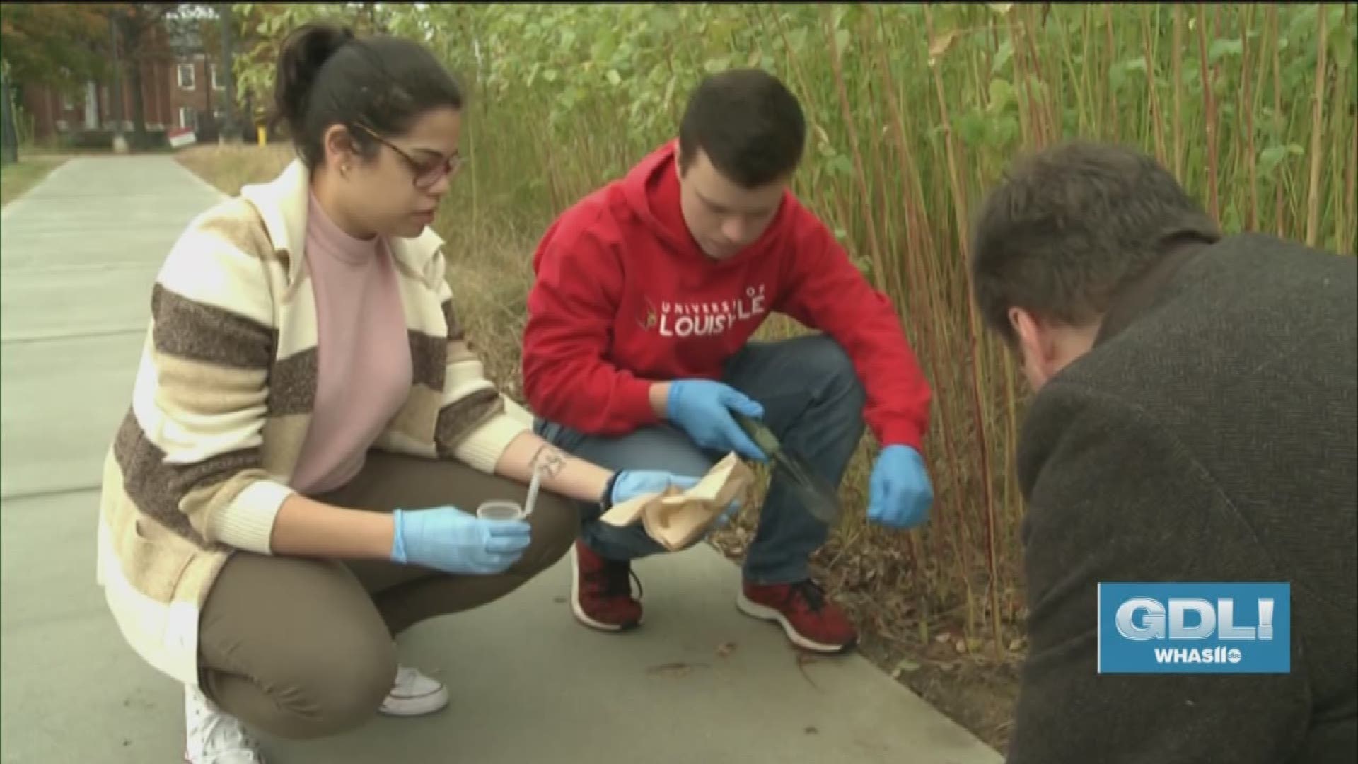 University of Louisville researchers and students  are getting their hands dirty trying to grow plants where they couldn't grow before.