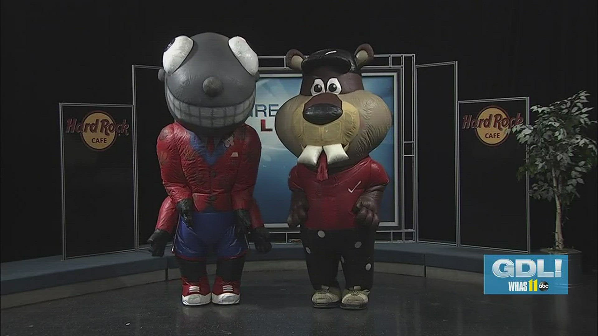 Zooperstars on Great Day Live!