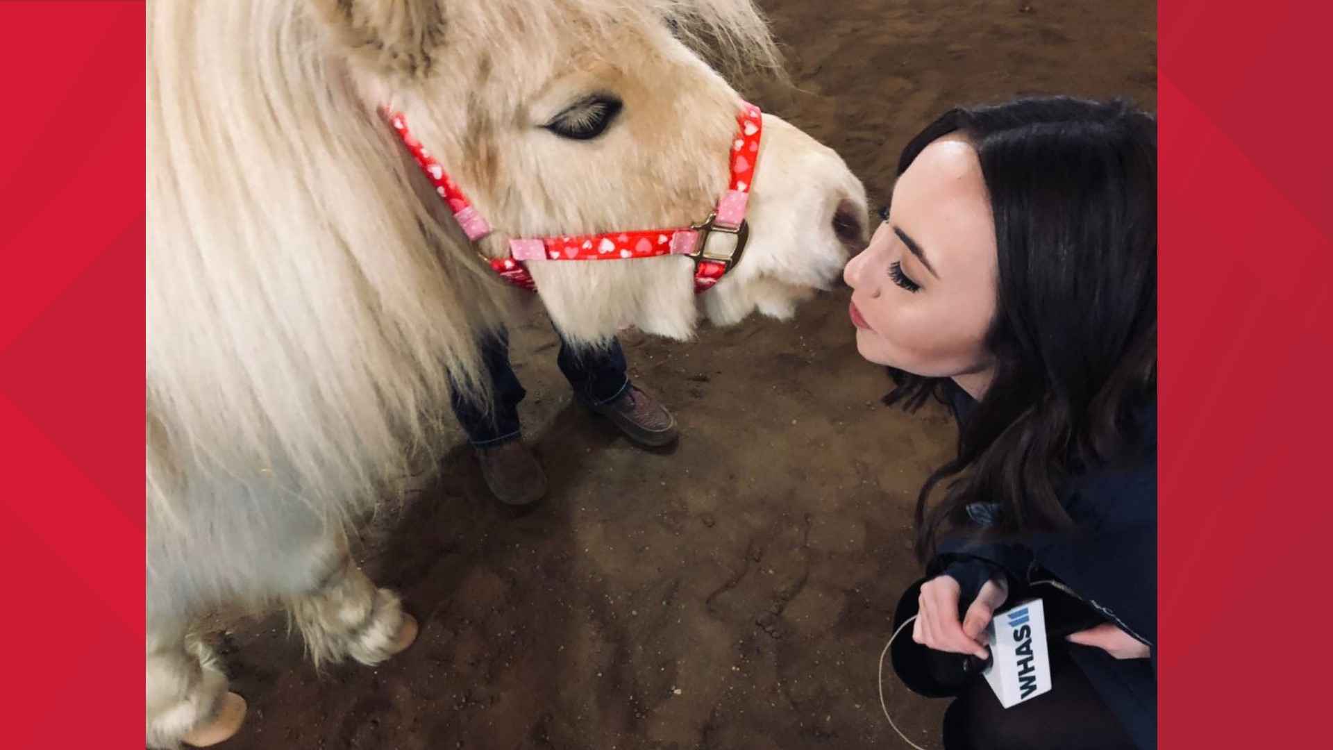 The Valentine event is fun for the whole family and will raise money for Opening Gates Equine Counseling and Assisted Learning Program.