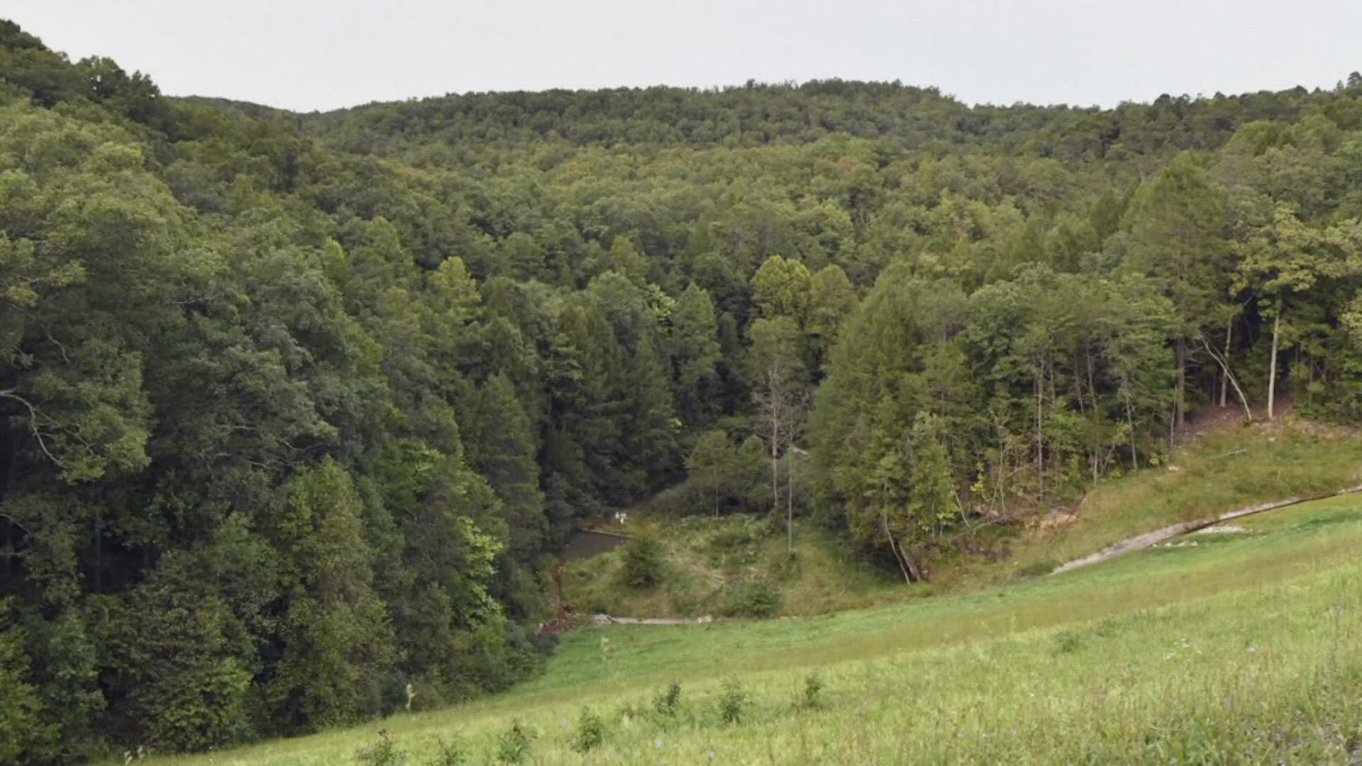 Joseph Couch has been on the run since Sept. 7 and authorities are expected to press deeper into the woods of the Daniel Boone National Forest.