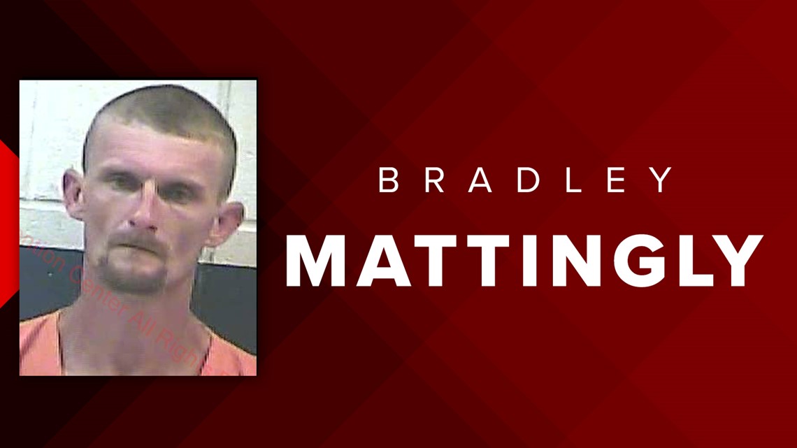 8yearold boy killed in hitandrun incident while getting mail