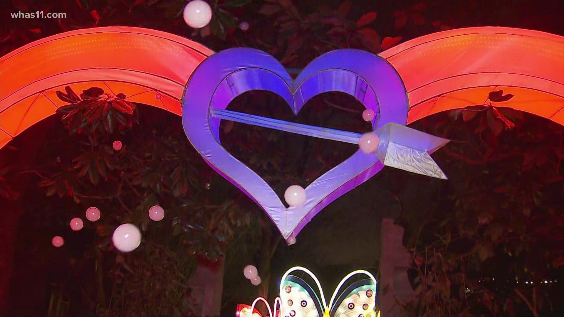 The Wild Lights festival has several interactive displays for you and your family to enjoy. You can even get a workout in with this changing-color heart display!