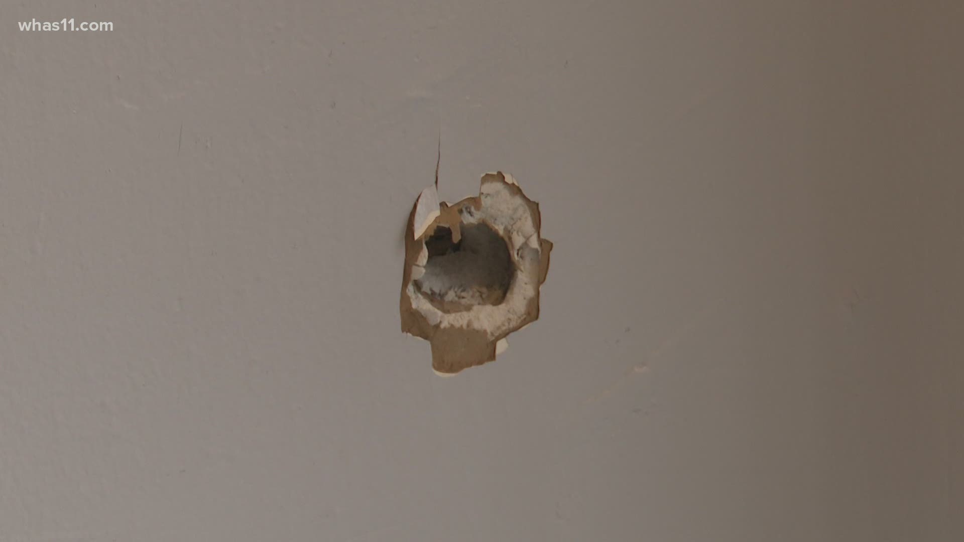 Many are complaining after random gunfire damaged a local nonprofit and a home in Okolona.