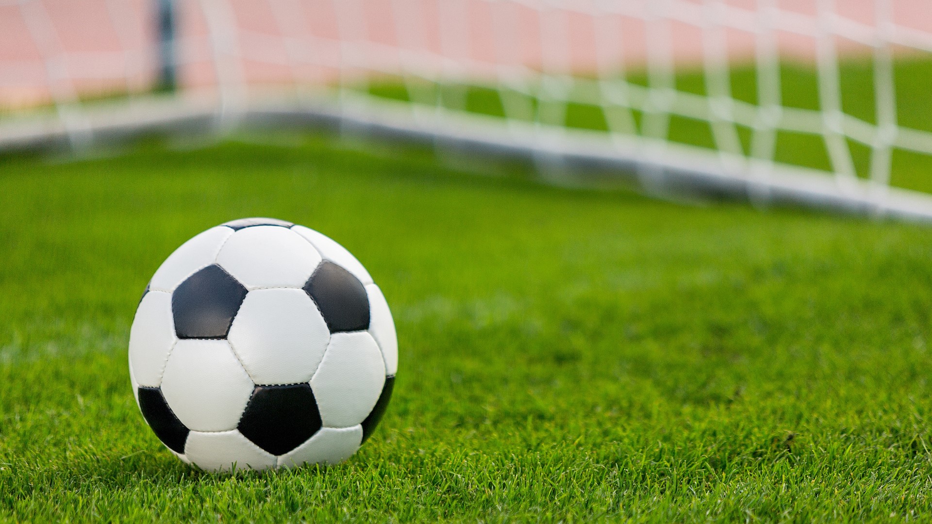 Wyandotte Park gets new soccer fields