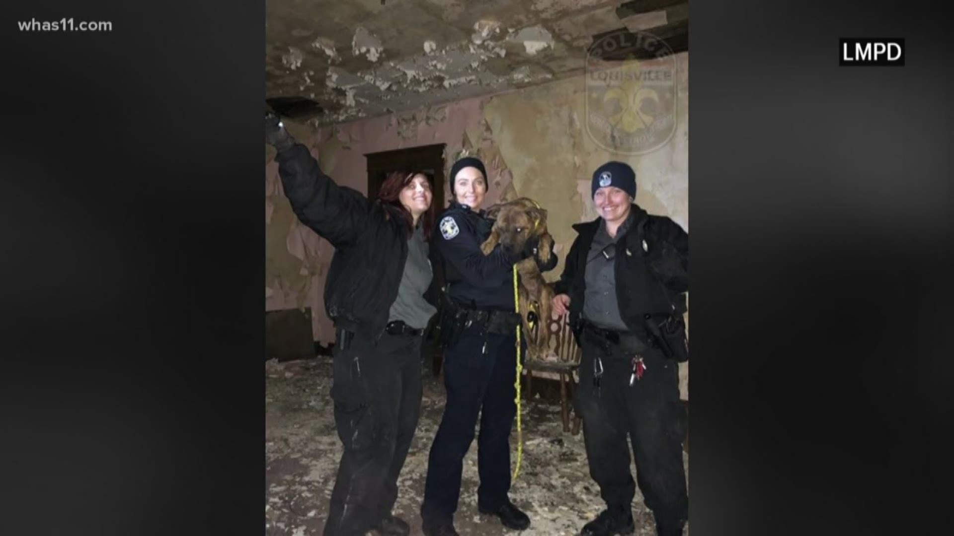 Officers found a dog stuck on the roof of an abandoned house on South 43rd Street.