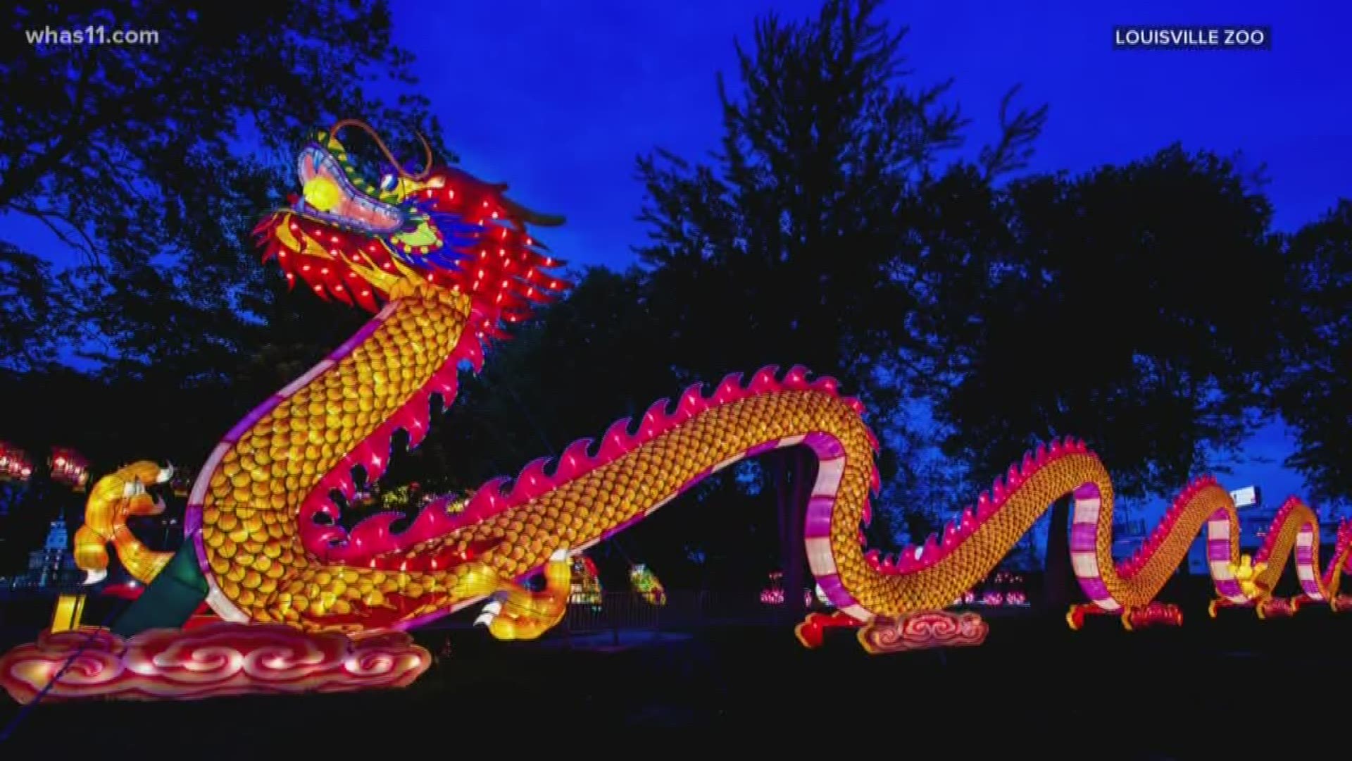 Zoo officials say some of the crowd favorites are expected to be a 131-foot long dragon, an African savanna display, and a color-changing panda tree!