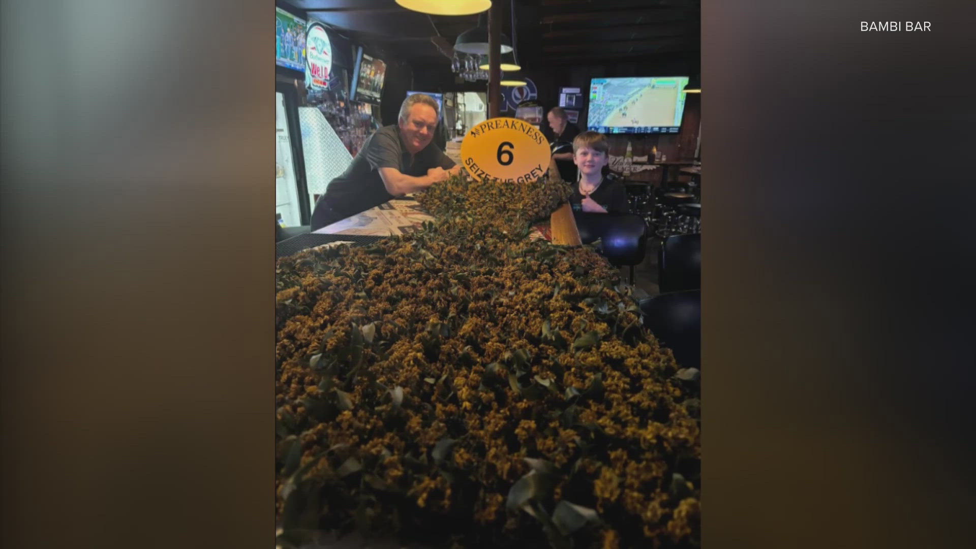Winning flowers from Preakness land at Bardstown Road bar