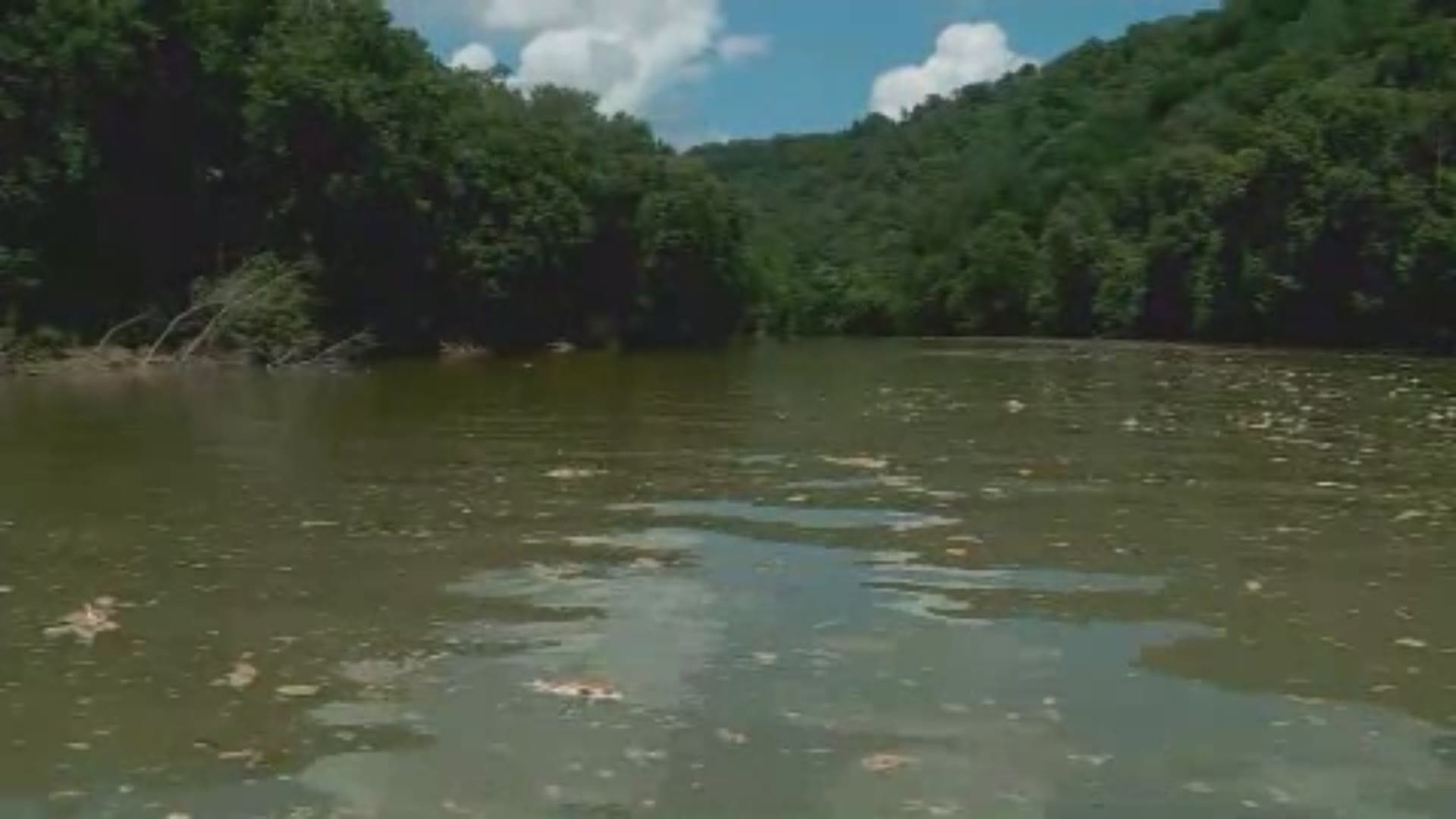 Thousands of fish are dead in the river which state environmental officials said would likely happen.