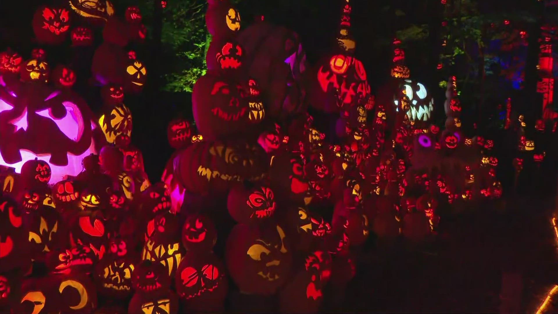 Families can enjoy seeing intricately-carved pumpkins at the Jack O'Lantern Spectacular at Iroquois Park from Oct. 3 to 31.