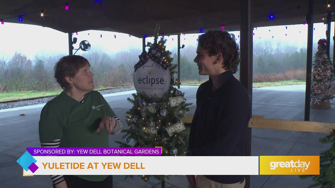 GDL: Yew Dell Gardens Has Nice Christmas Trees this Season | whas11.com