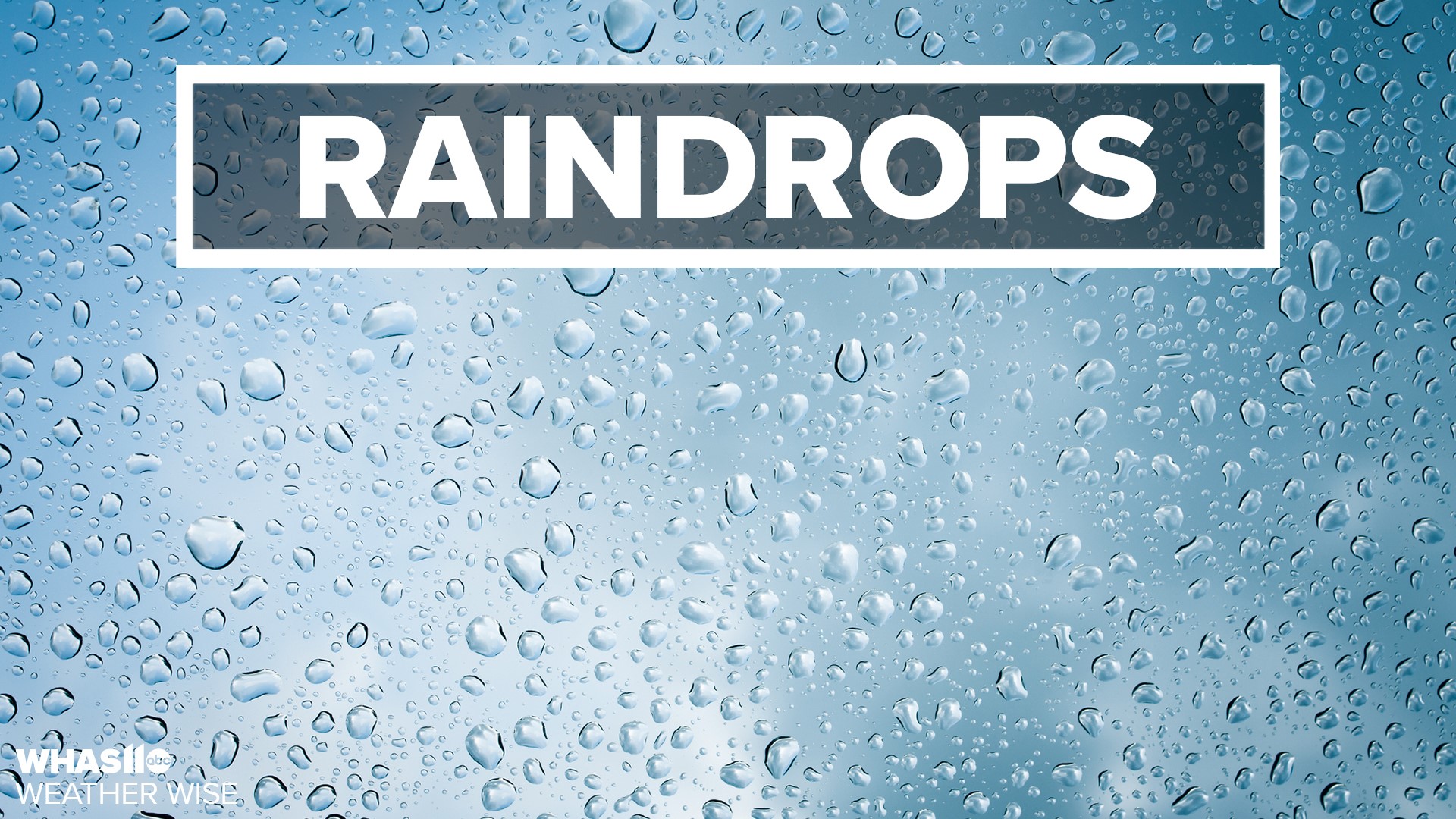 When raindrops initially form, they're spherical and very small with a diameter as little as half a millimeter.