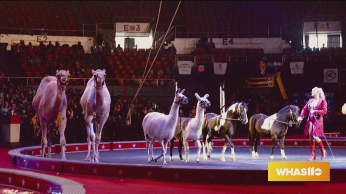 Magic brought to life at Kosair Shrine Circus