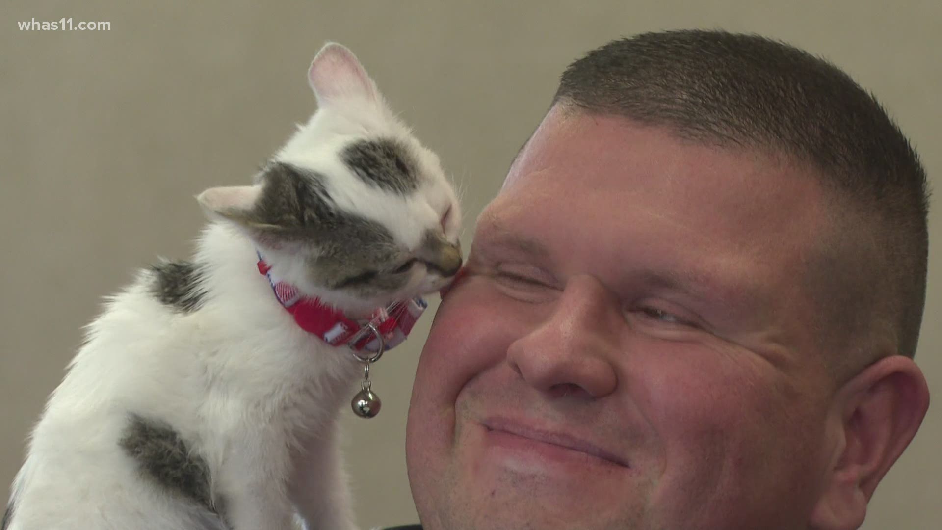 Airport public safety officer adopts stray kitten found on ramp