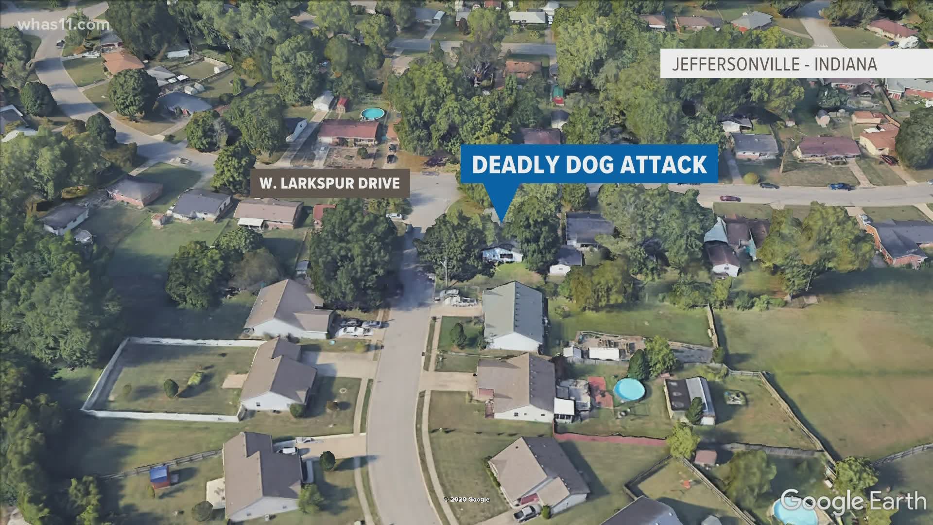 Jeffersonville police said a man died after he was attacked by a pitbull Wednesday morning.