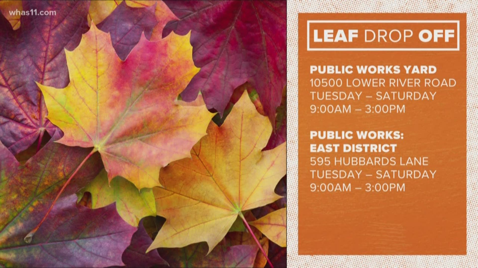 If you live in Louisville and Jefferson County and need somewhere to take your leaves, the city is offering drop-off sites to take them.