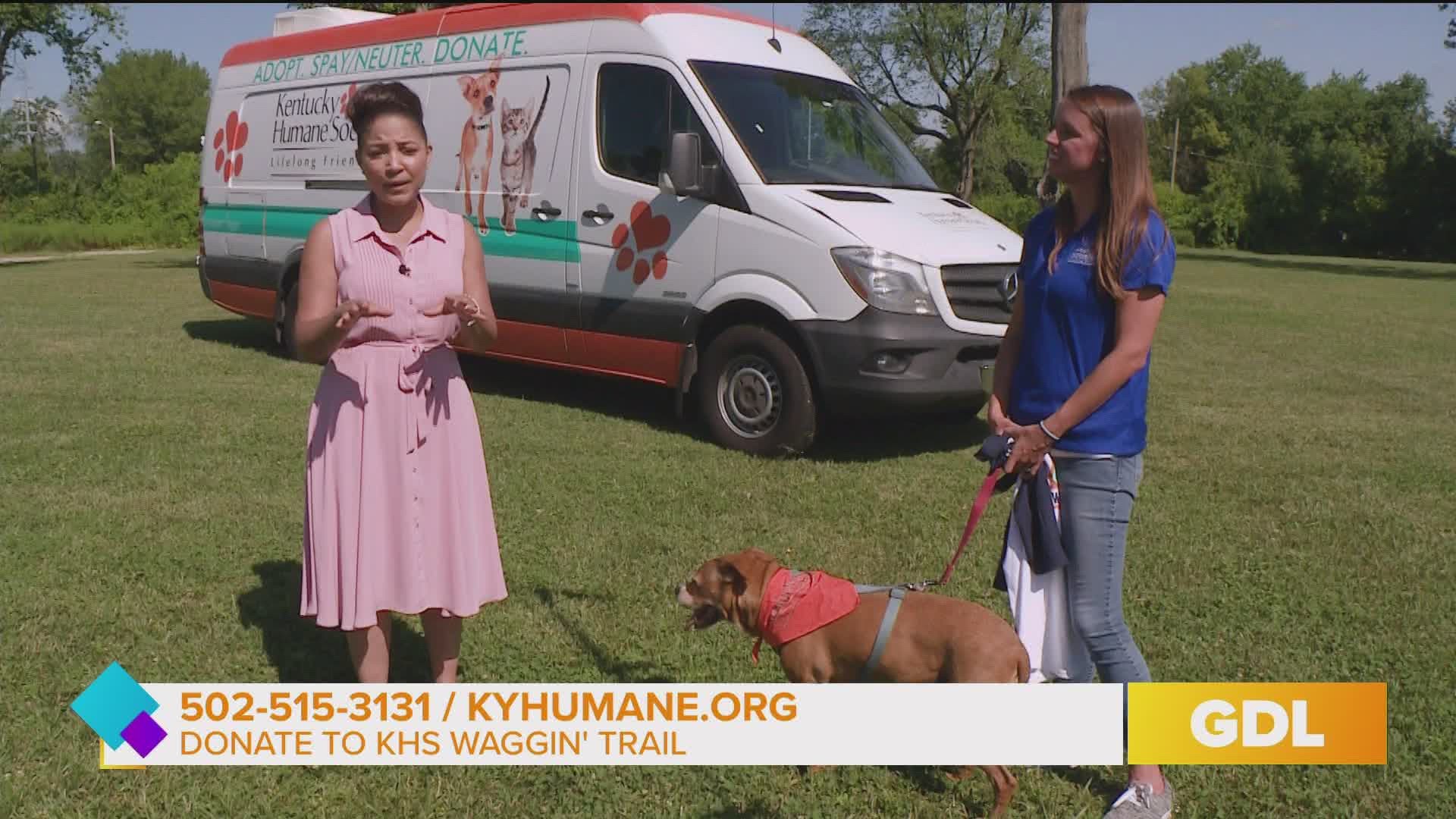 For more information on the Kentucky Humane Society's Waggin' Trail, go to KYHumane.org.