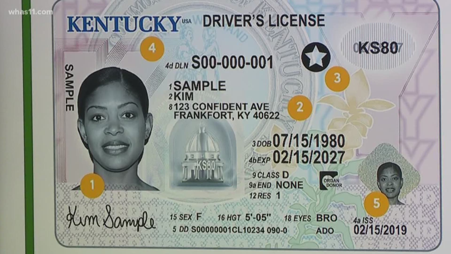 The Real ID-compliant licenses will be available on a county-by-county basis starting in March.