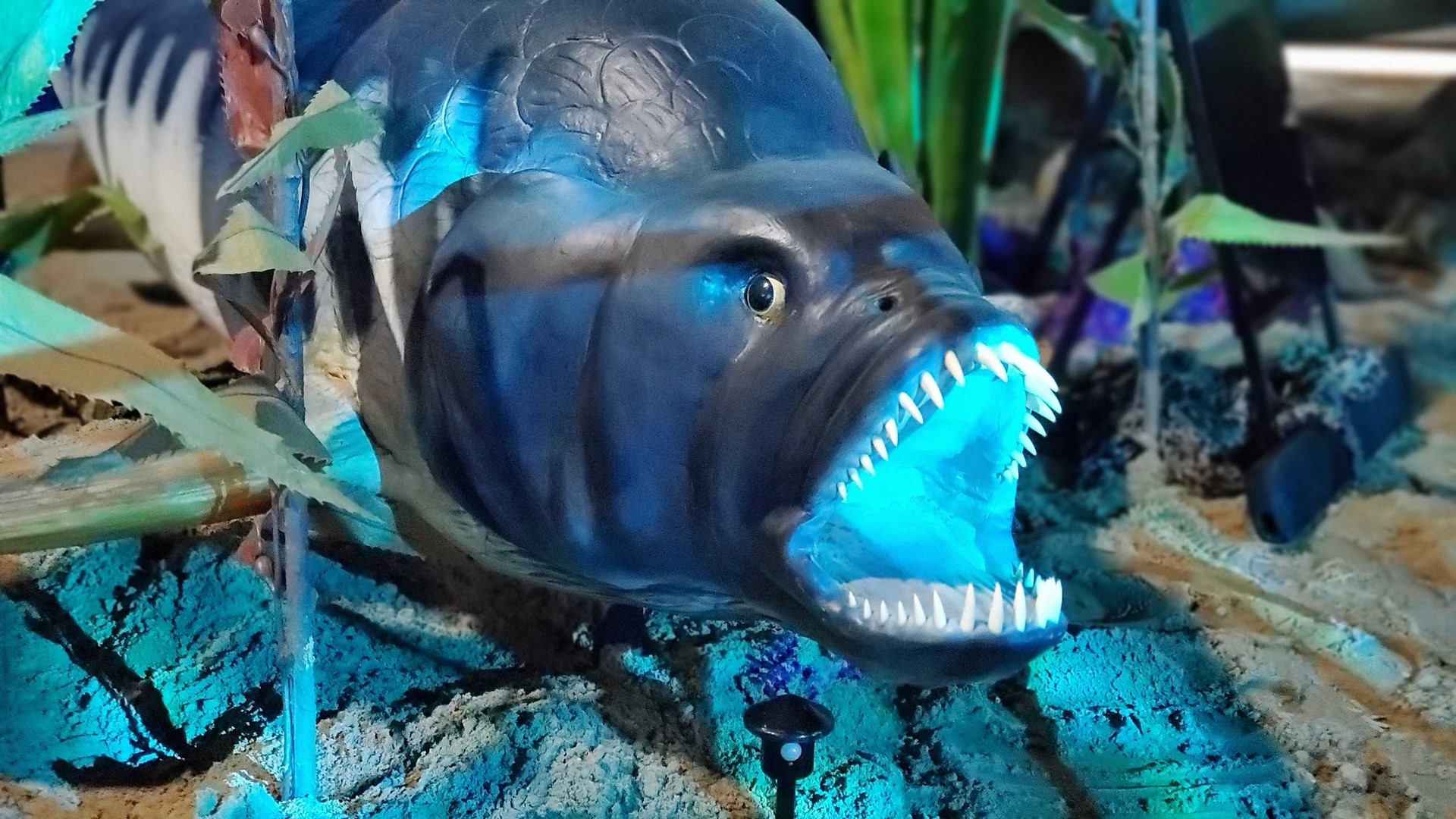jurassic quest ancient oceans