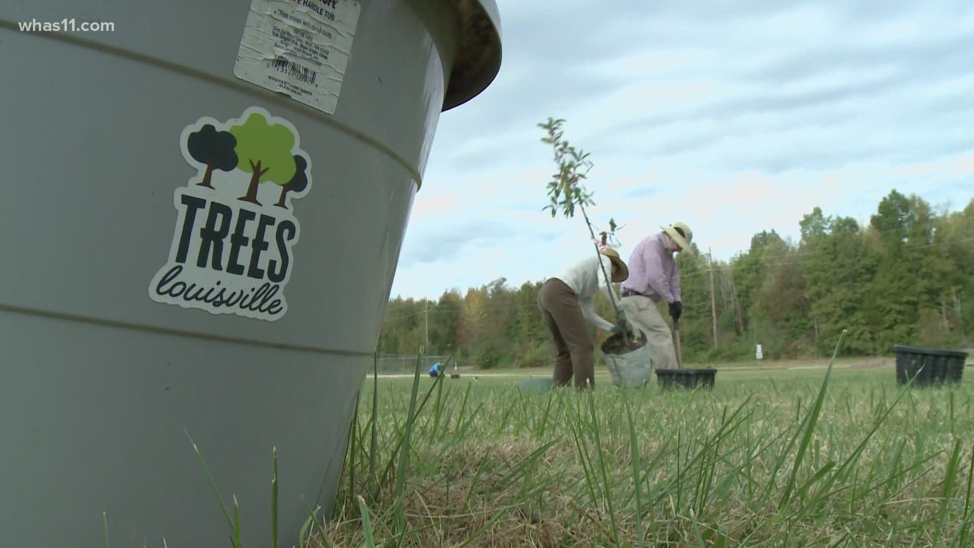 Trees Louisville kicks off tree planting in Rubbertown | 0
