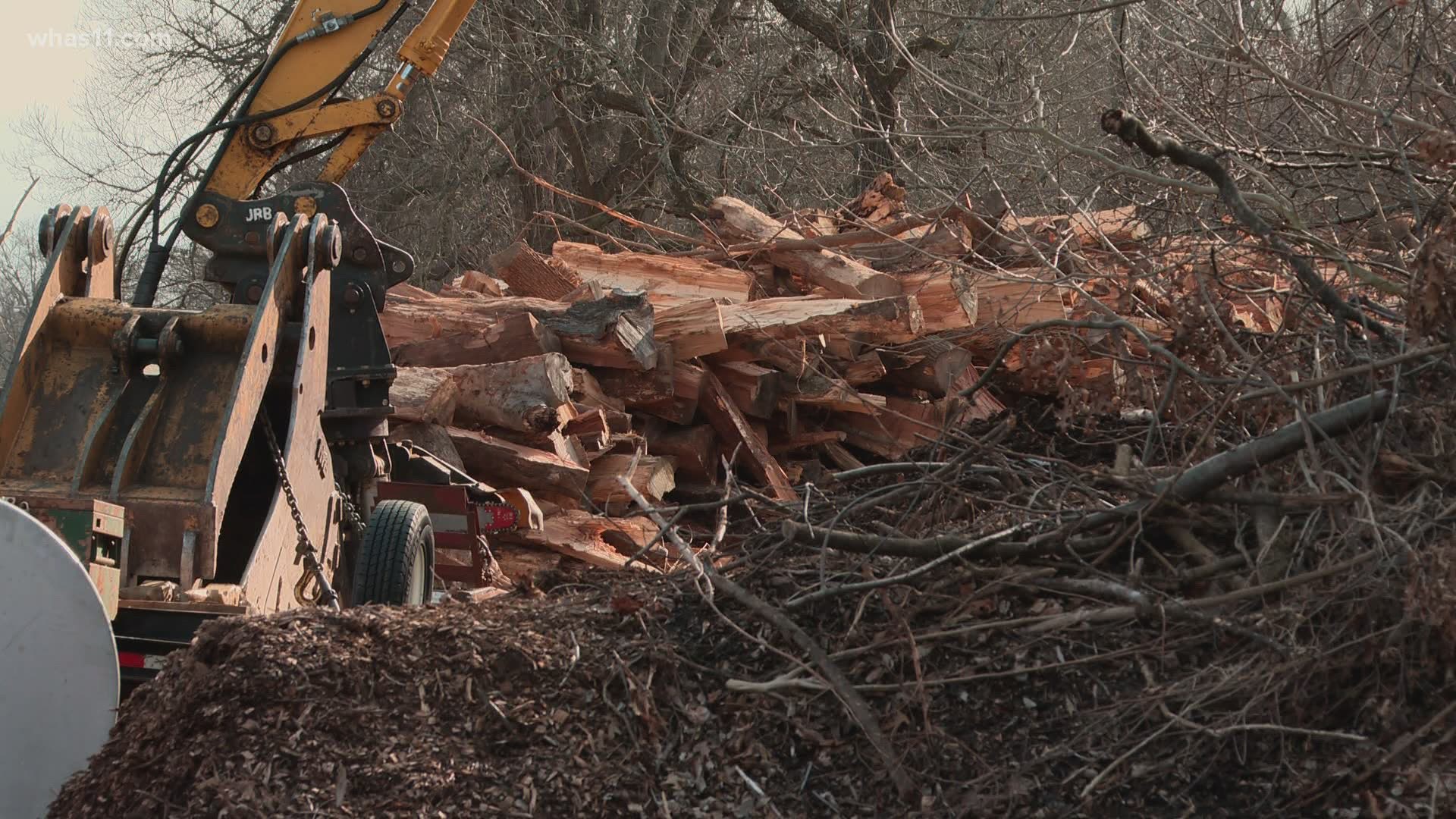 City officials are taking steps to remove logs cut from other parks dumped at Shawnee Park.