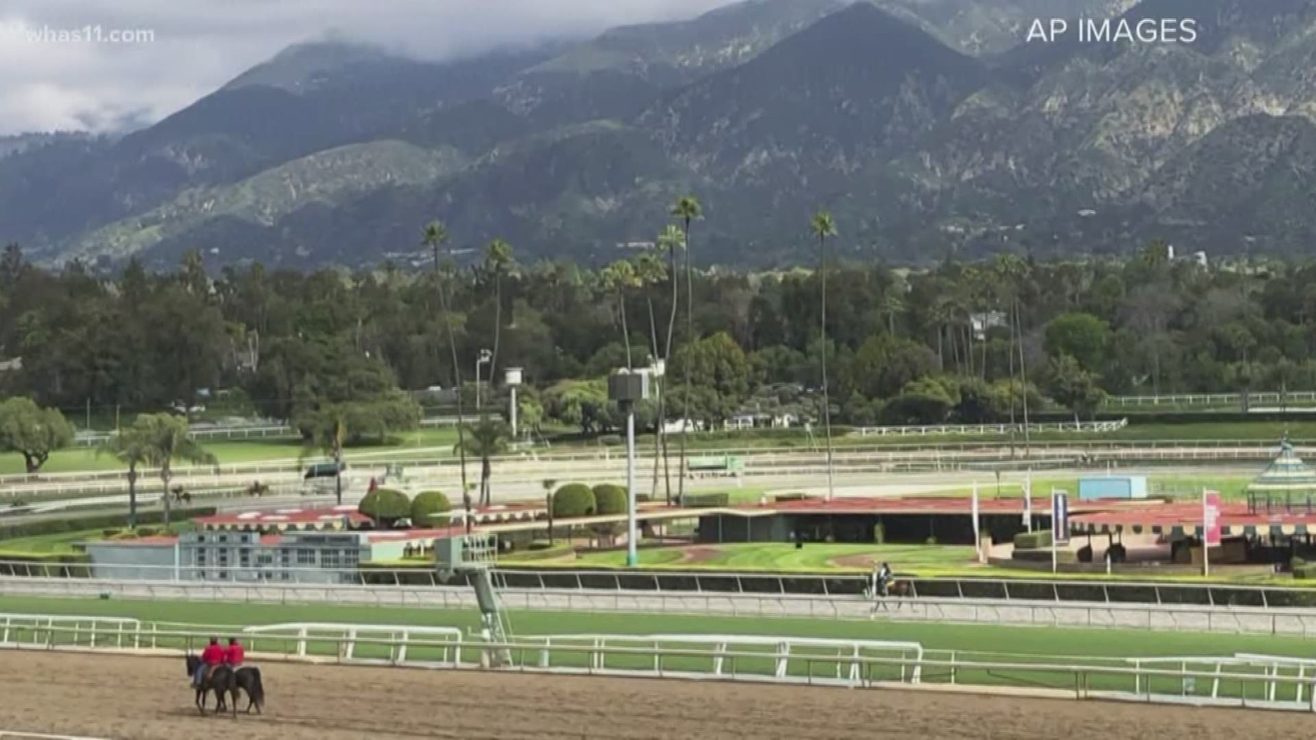 The California Horse Racing Board, along with a US Senator are calling for the race track to suspend it's meet. Santa Anita works with 13 other tracks in the country to come up with best practices for maintaining tracks and making sure horses are safe.