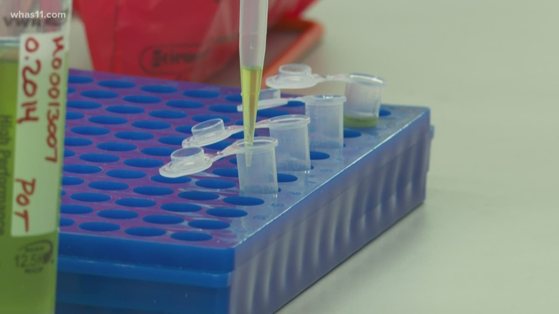 Hemp runs in the family Mt. Washington CBD testing lab hopes to move industry forward