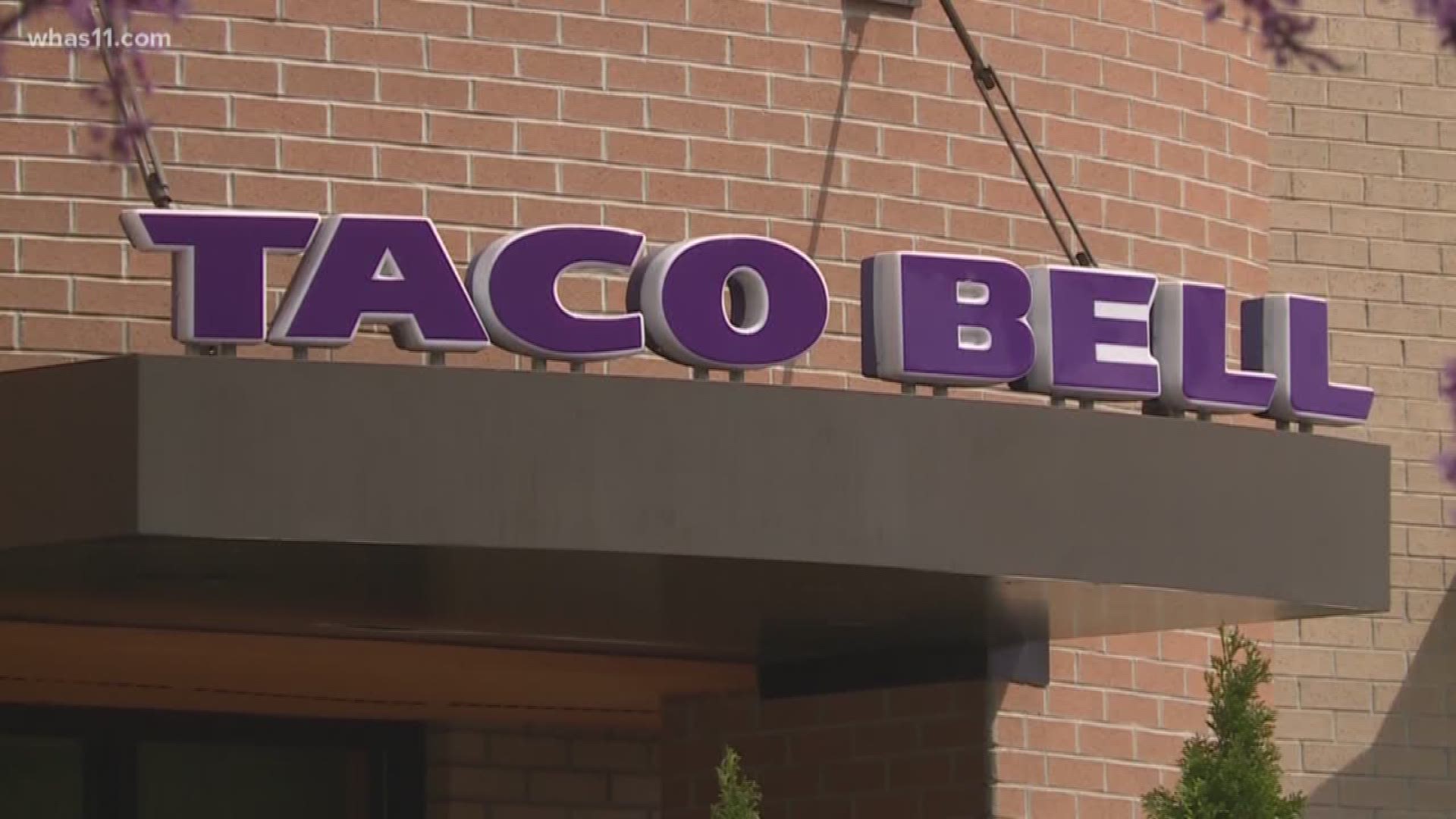 A woman is demanding an apology from a Taco Bell in downtown Louisville after she says the staff discriminated against her and about 20 other people.