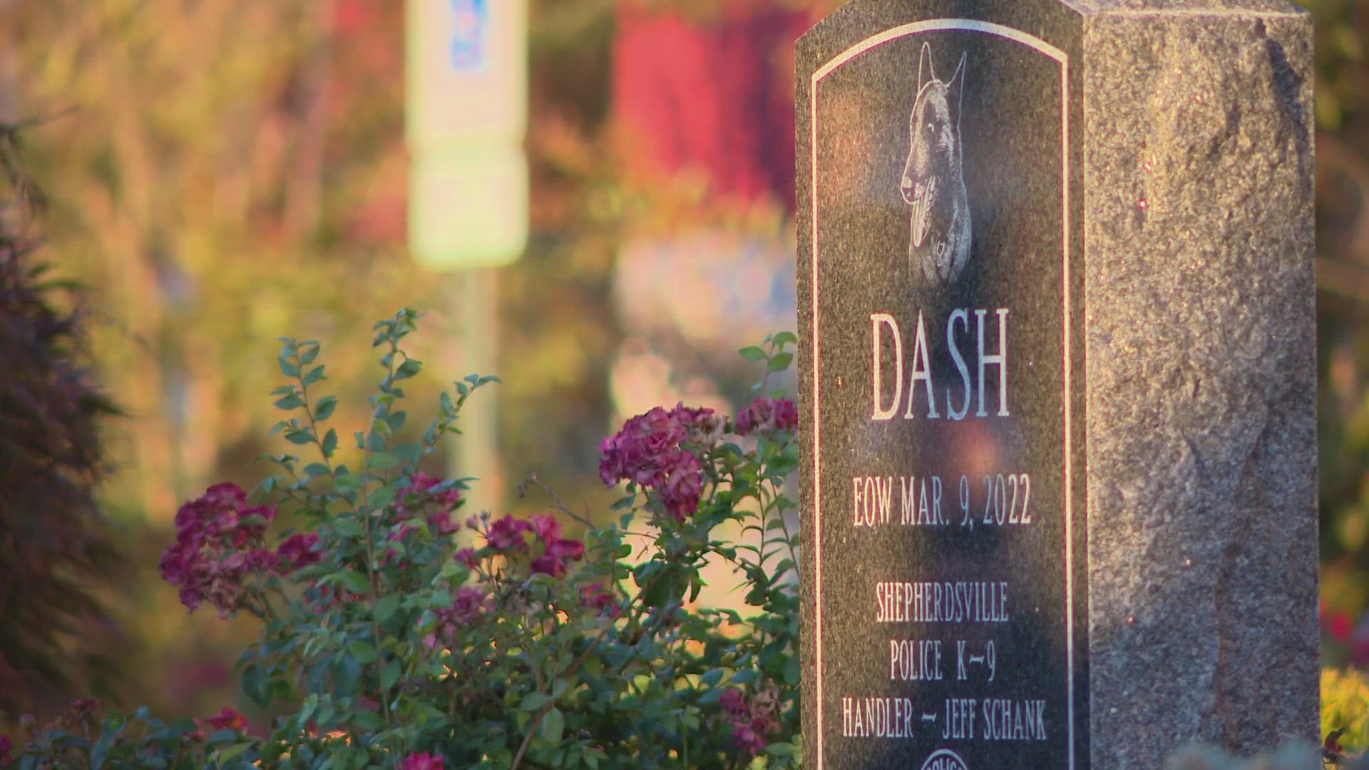 The K-9, Dash, was shot and killed during a shoplifting investigation in March of 2022.