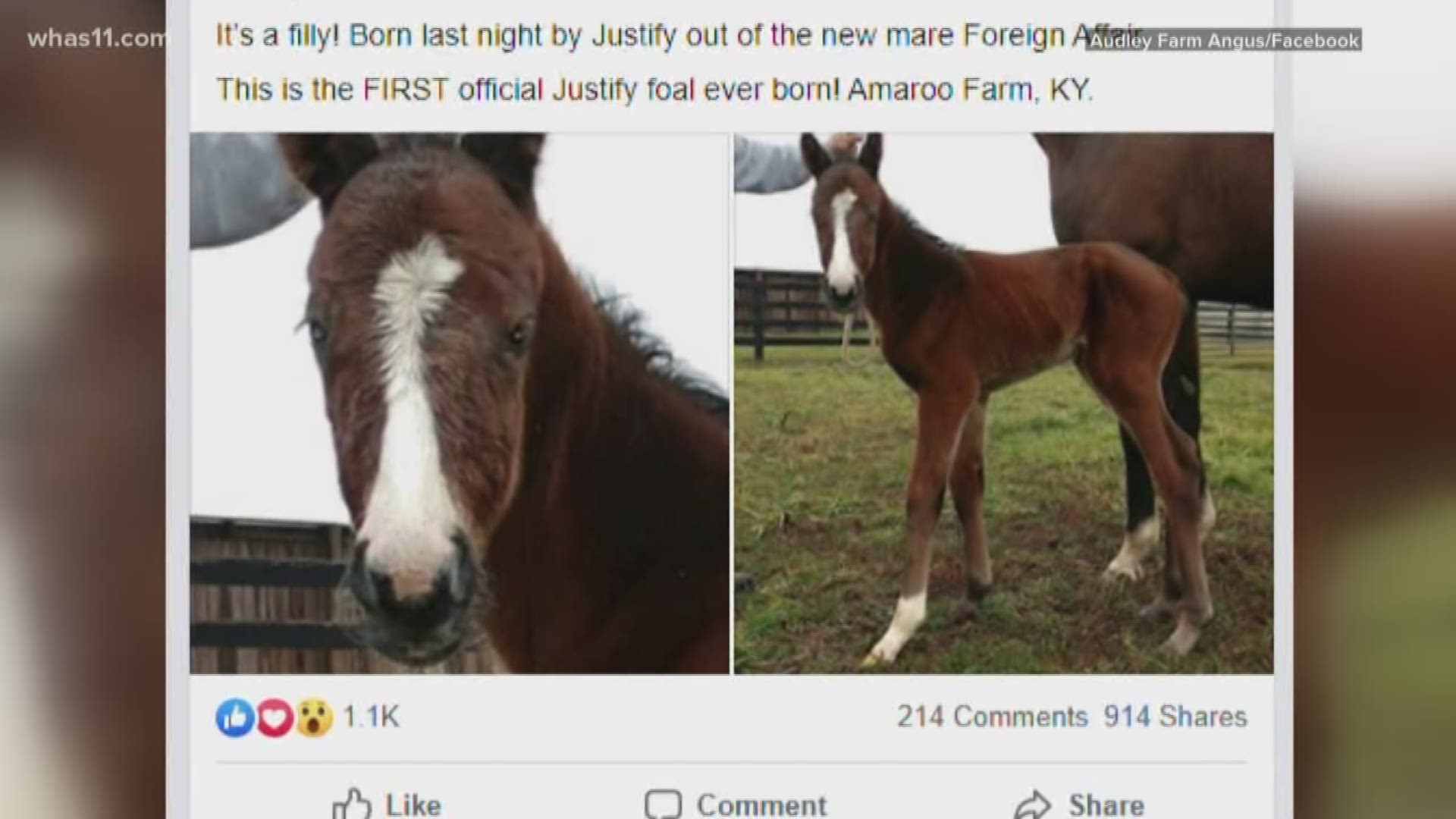 The filly was born Jan. 3, 2020 at Amaroo Farm near Lexington.