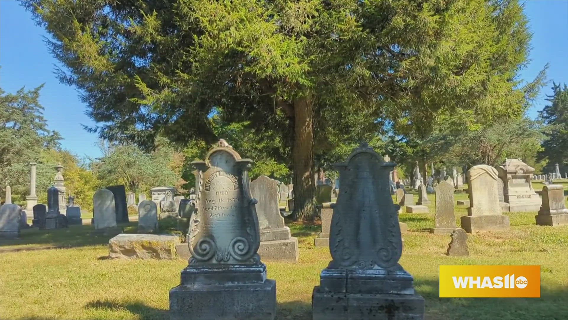 Enjoy Some Spooky Fun in Shelbyville this Halloween Season!