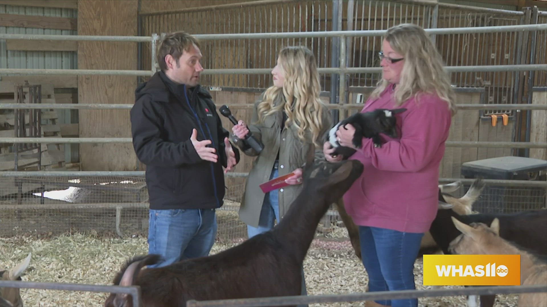 GDL Nulu Bock Fest Preview with Food, Drinks & Goats