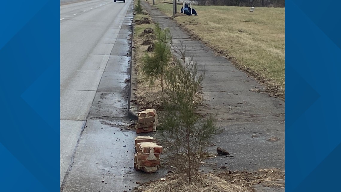 Officials looking for whoever planted pine trees along Paducah road