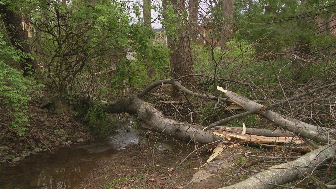 Louisville man walking dog killed by falling tree during storms