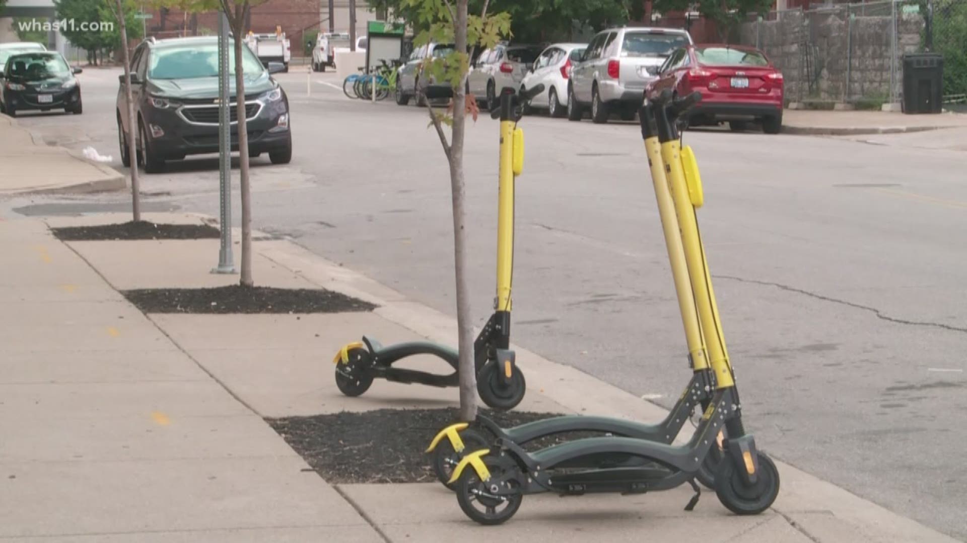 The company is licensed to add a fleet of about 150 adding to the nearly 400 or so Bird and Lime Scooters already around the city.