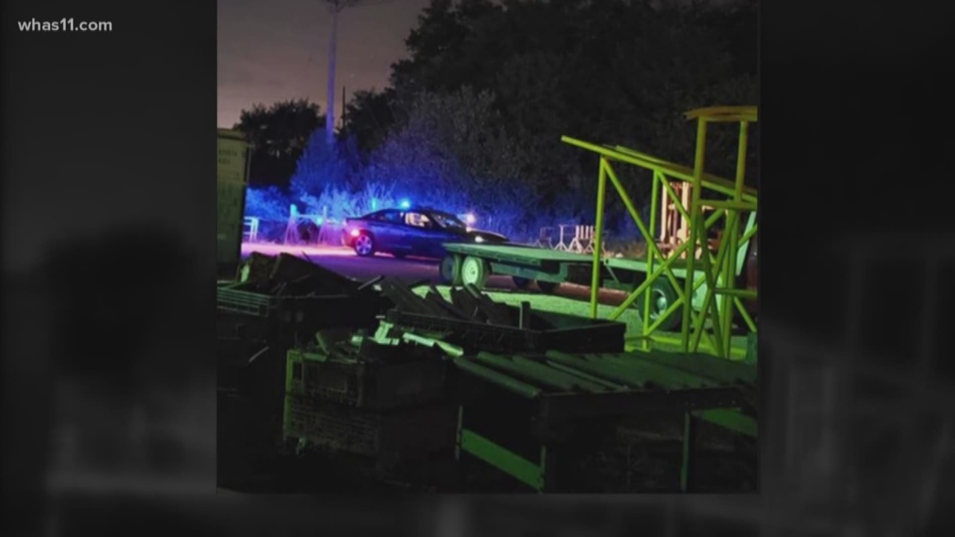 Police said a person died after being hit by a train in Shelbyville early Friday morning.