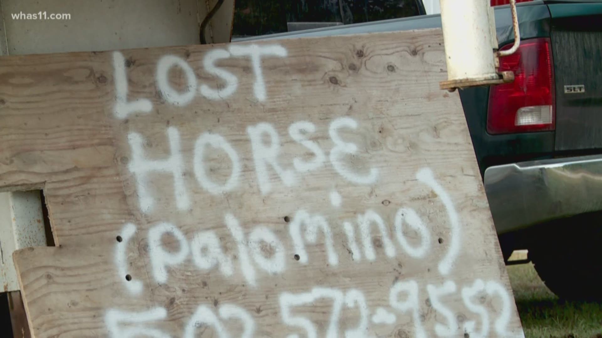 An Indiana family is searching for their beloved horse who went missing after a storm in August.