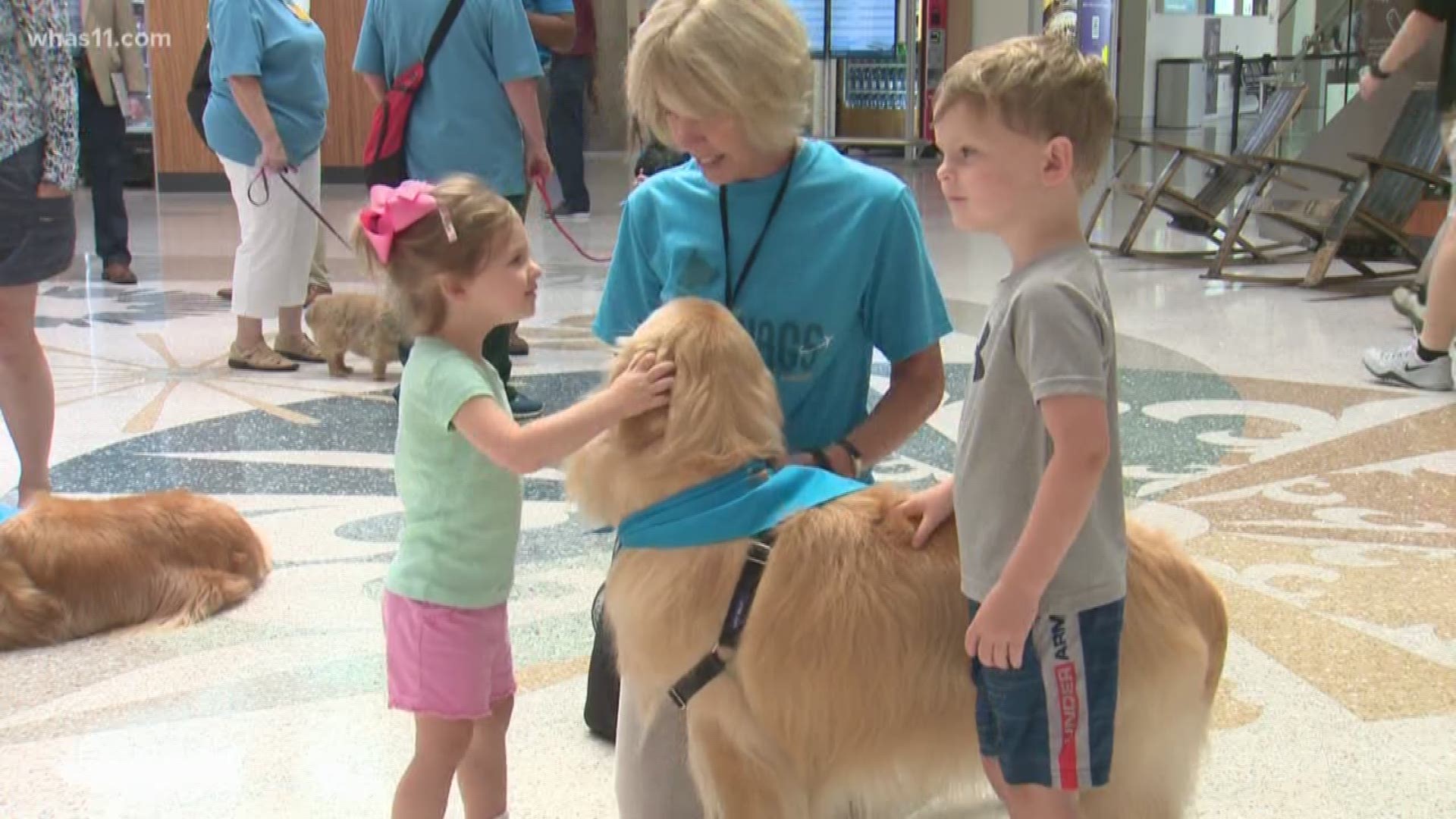 The Louisville Muhammad Ali Airport has partnered with WAGS to bring plenty of cuddles and cuteness to the terminal.