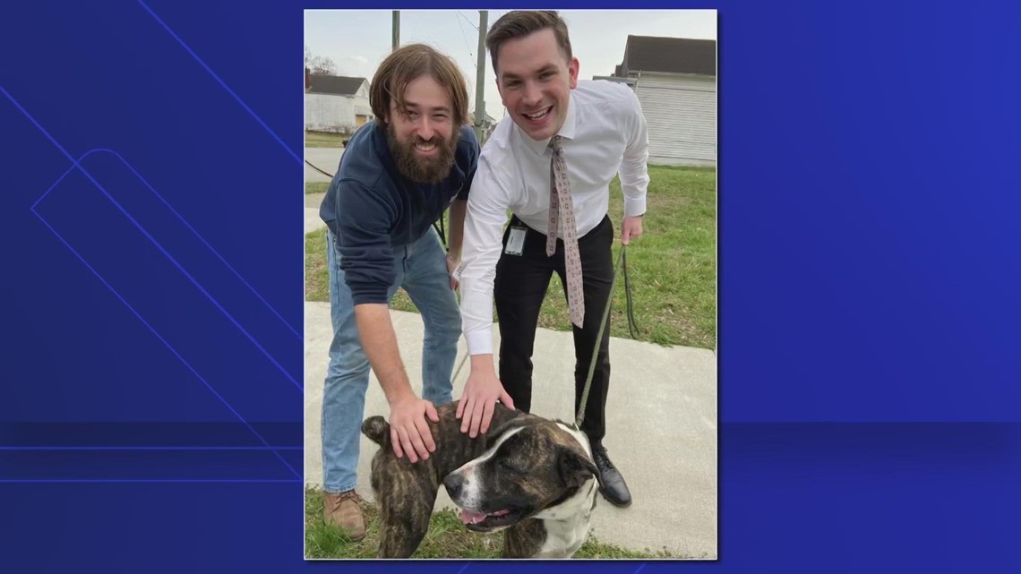 WHAS11's Tom Lally and photojournalist Ian Hardwitt help save a stray