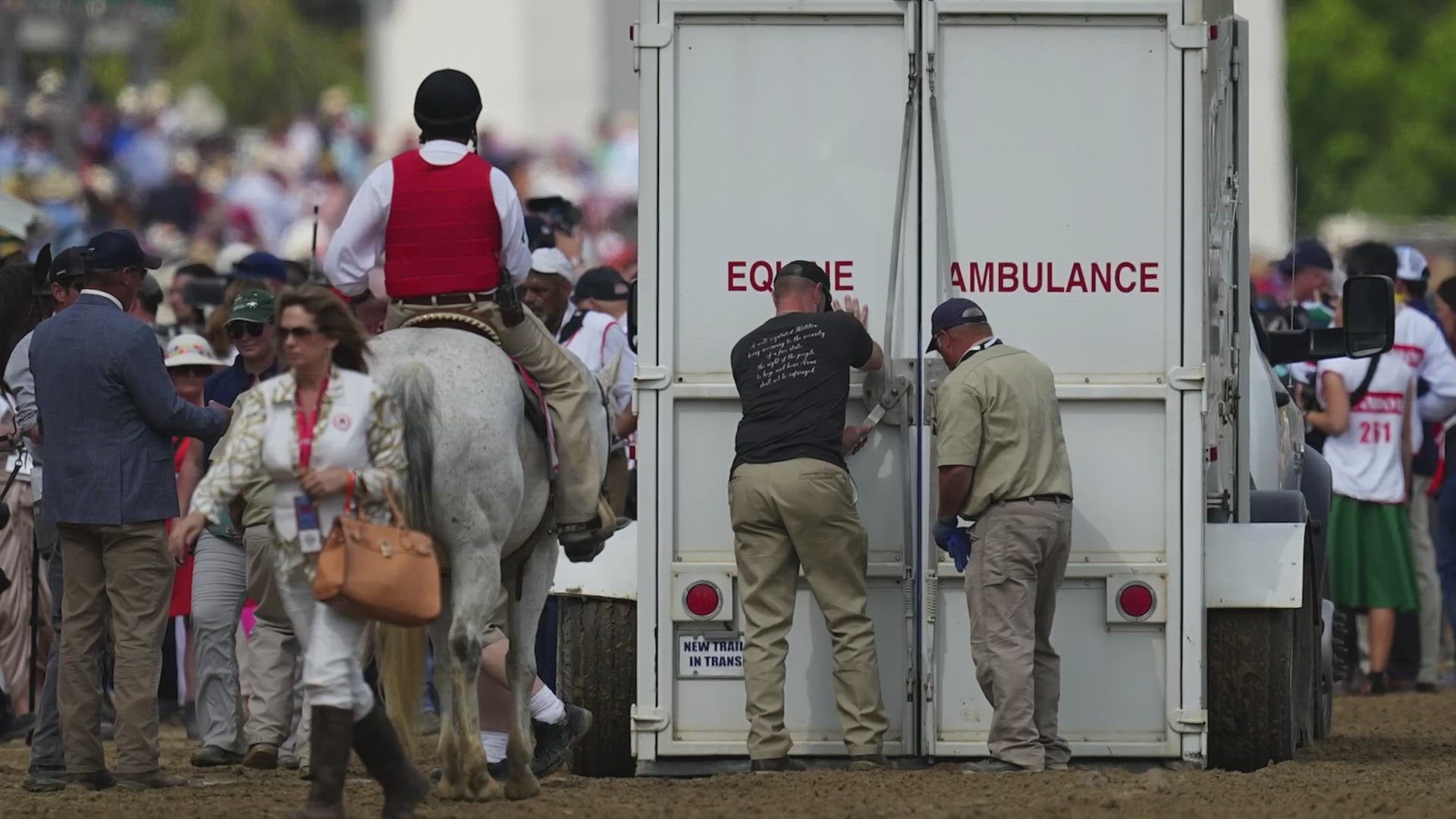 Last year, 12 horses died at Churchill Downs including two that died during the Kentucky Derby.