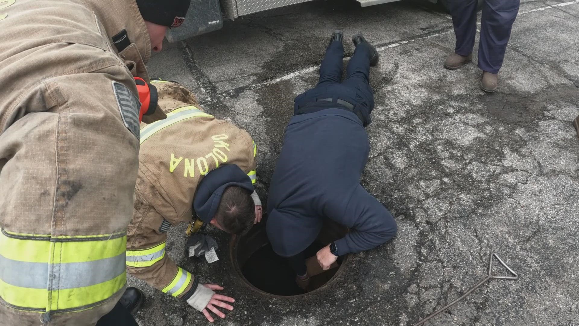 It wasn't your typical day at the office for a group of Okolona firefighters and MSD. Twelve ducklings were trapped in a storm drain. Here's how they saved them.