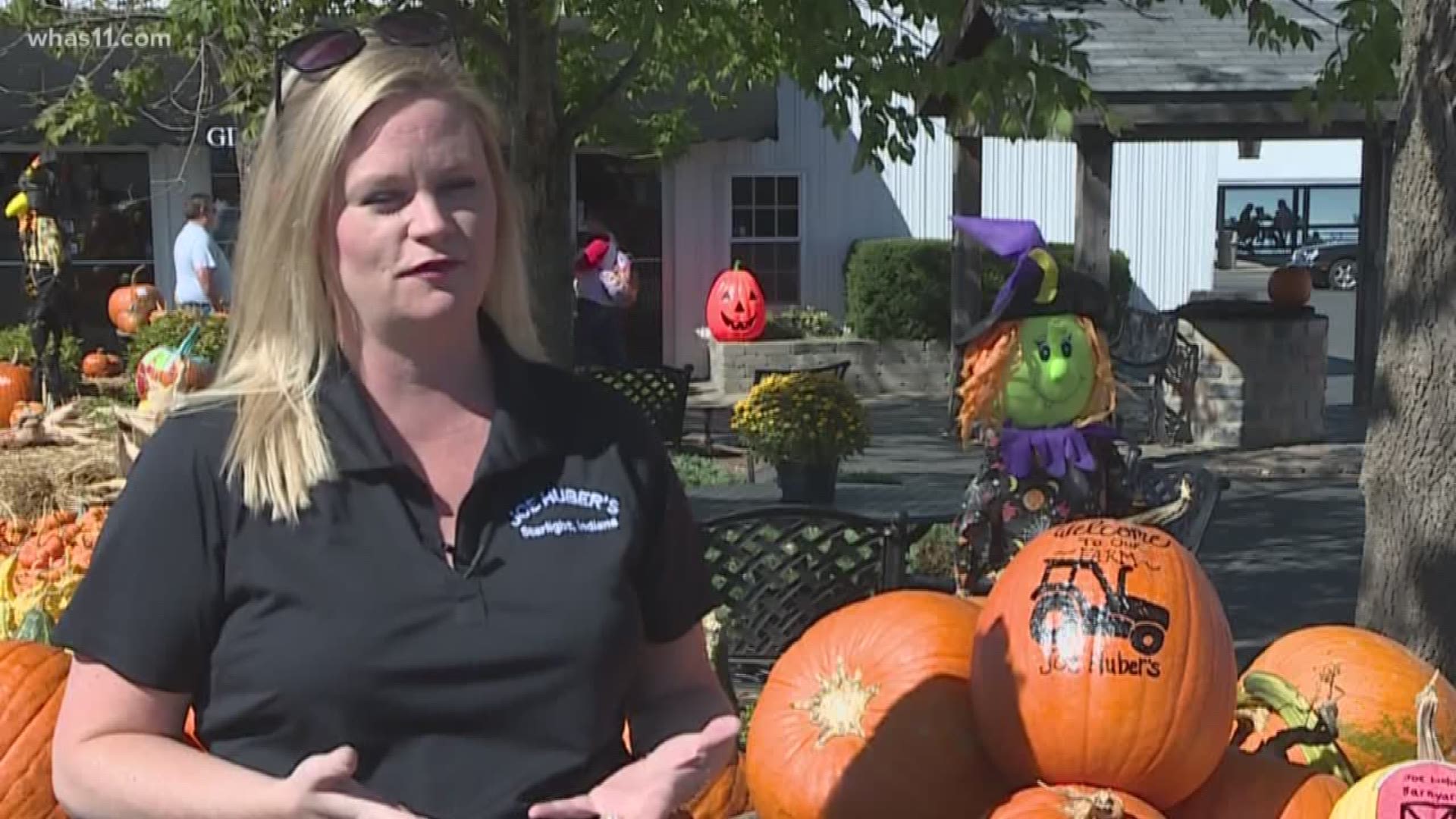 Pumpkin picking is an important tradition around southern Indiana. Despite drought conditions, officials say it's still a great time to head to the patch.