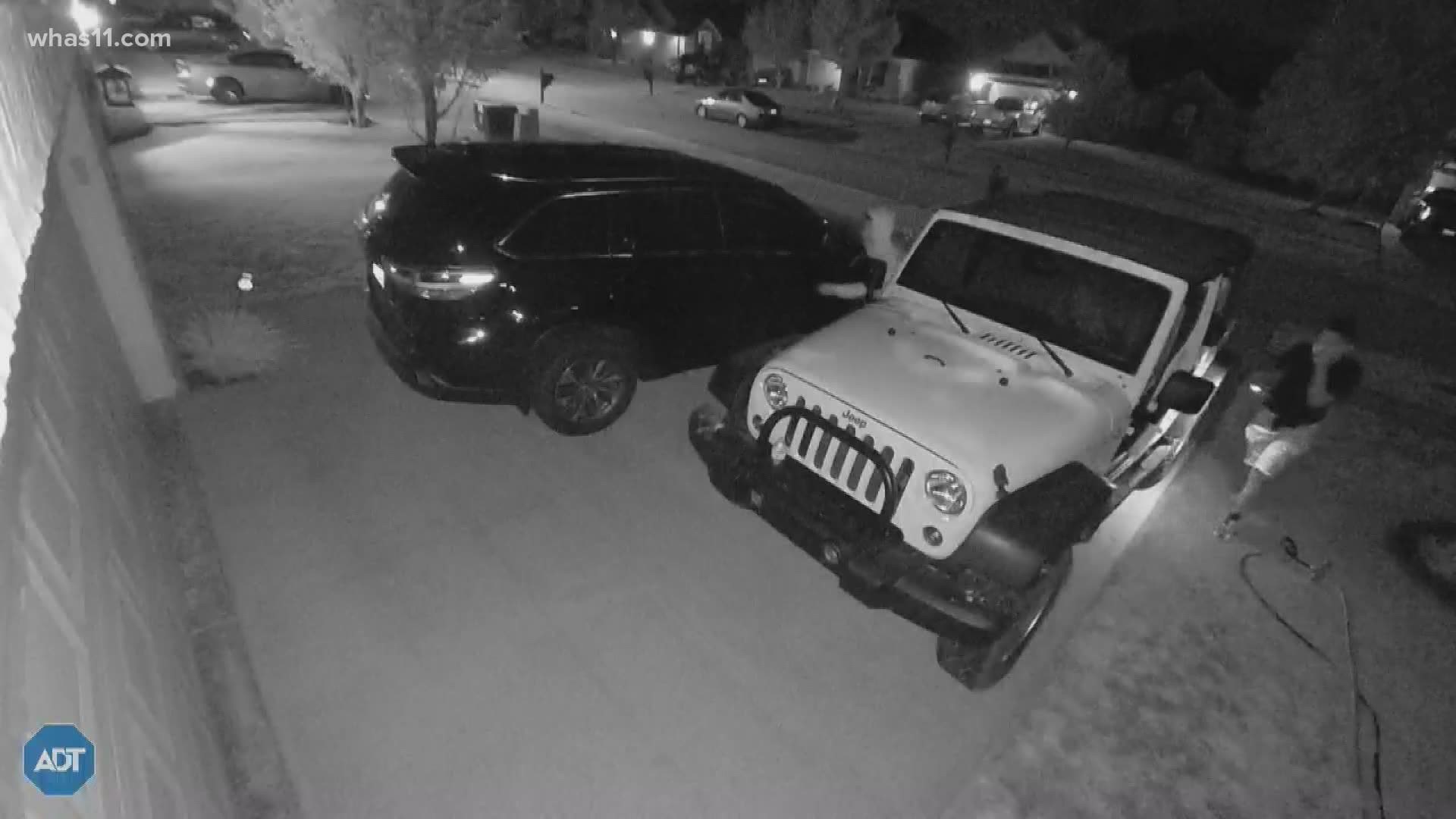 Home surveilance camera caught the duo treking through LaGrange's Majestic Woods about 5-30am.