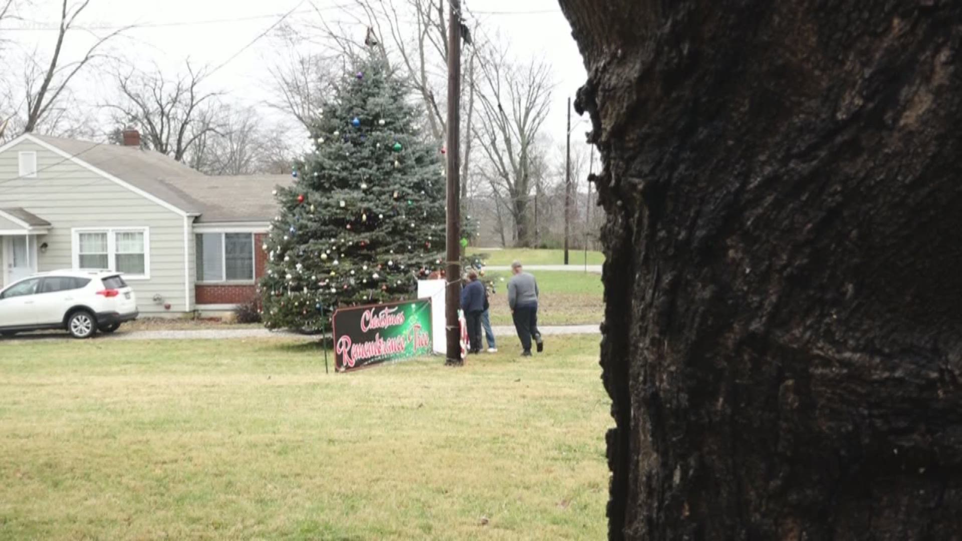 An Indiana woman decided to turn a tree on her property into something really special for those who have lost loved ones