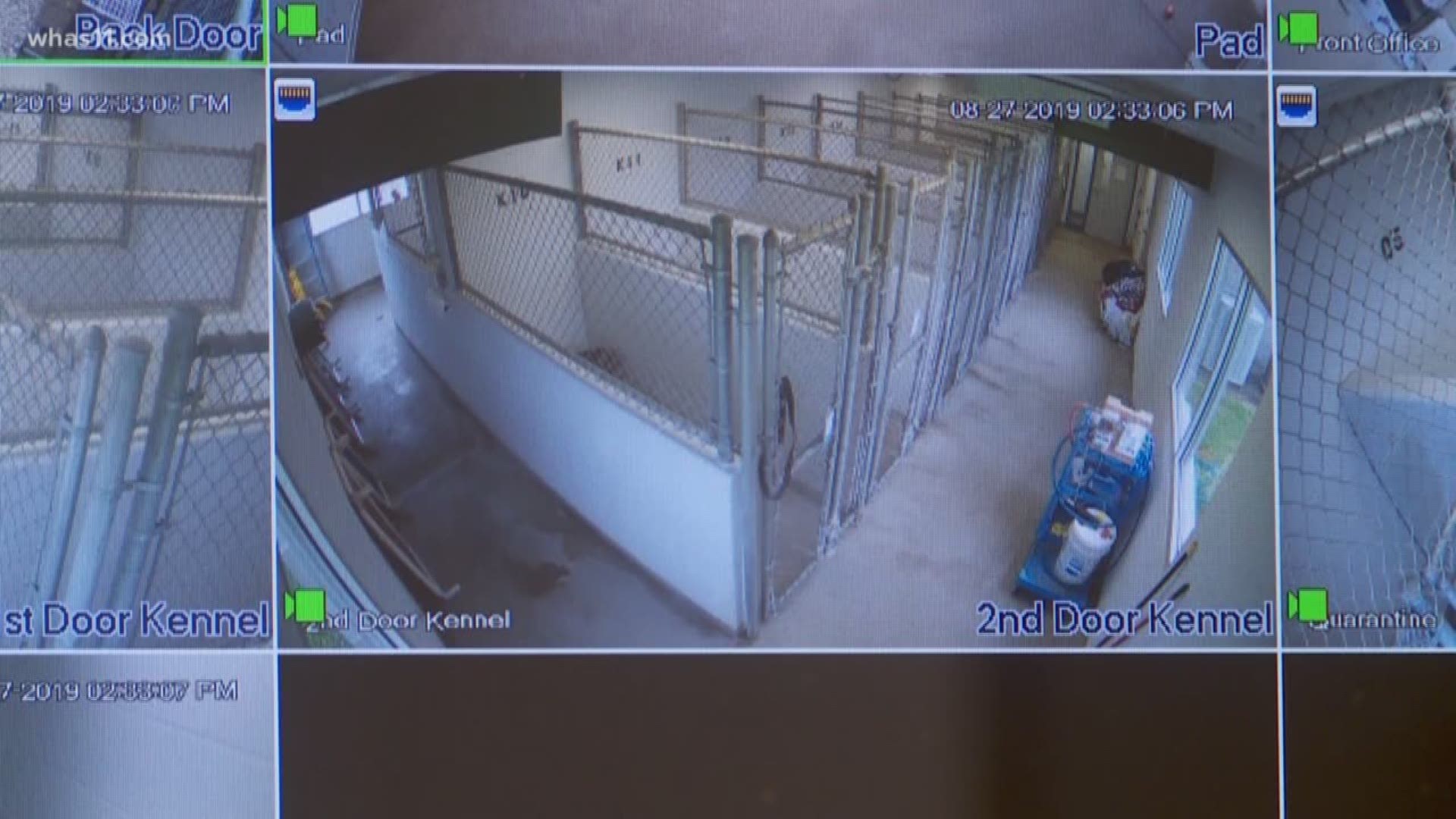 Indiana animal shelter installs security camera to deter animal dumping |  